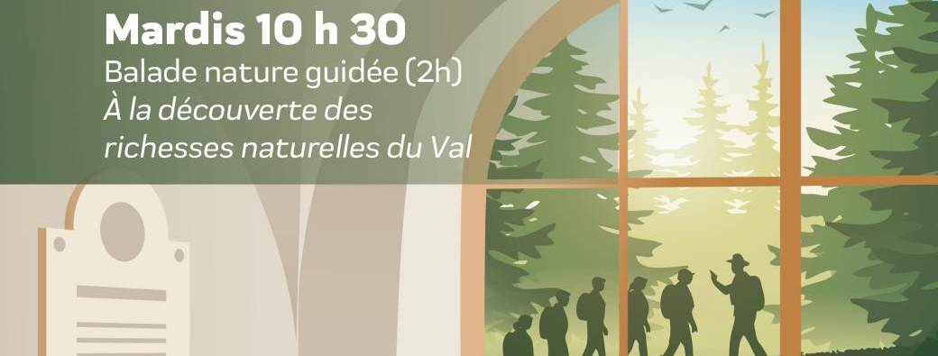Balades nature au Val de Consolation 