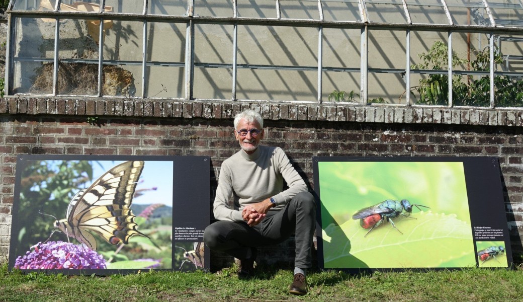 Balades poétiques sur les insectes Joel Tribhout - Jardins ouverts en IDF