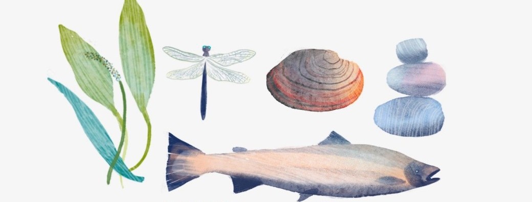Balades naturalistes