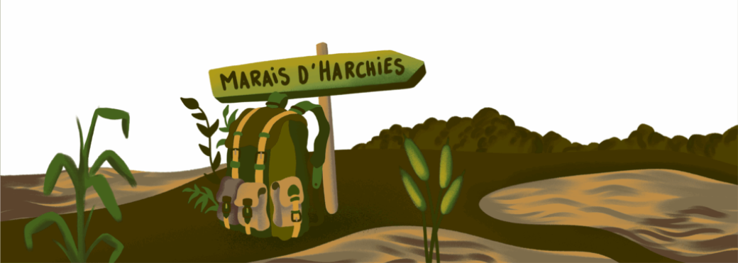 Baladons-nous aux marais d’Harchies-Hensies-Pommeroeul