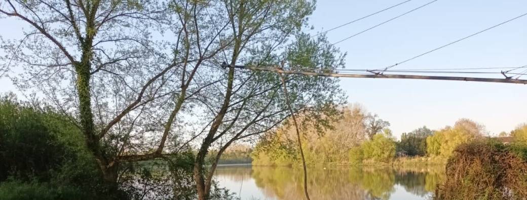 Barbuc au Carrelet de Tricouard