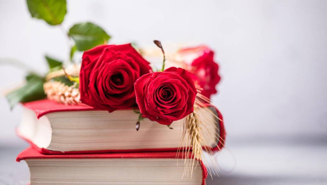 Spéciale Sant Jordi