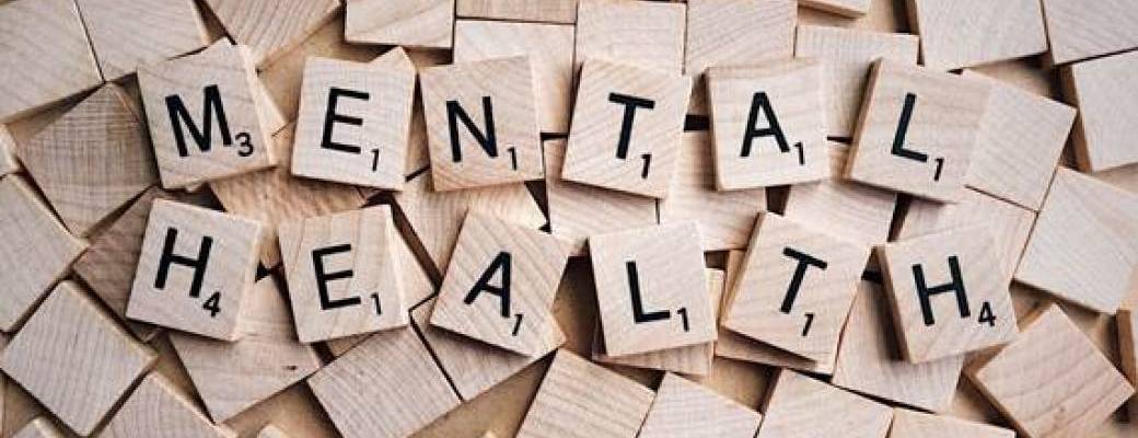 Bases de Psychopathologie juin 2027 - Mornant