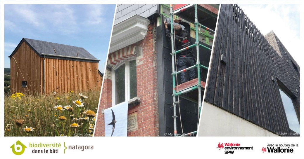 Batibouw 2026 : Plus de nature dans nos murs !