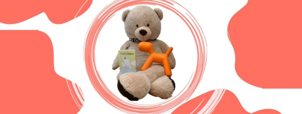 Les histoires de Bidouille d'AVRIL