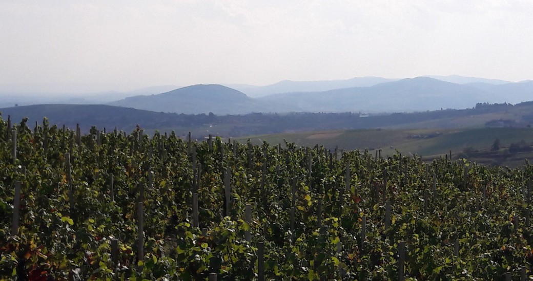 Beaujolais Nord
