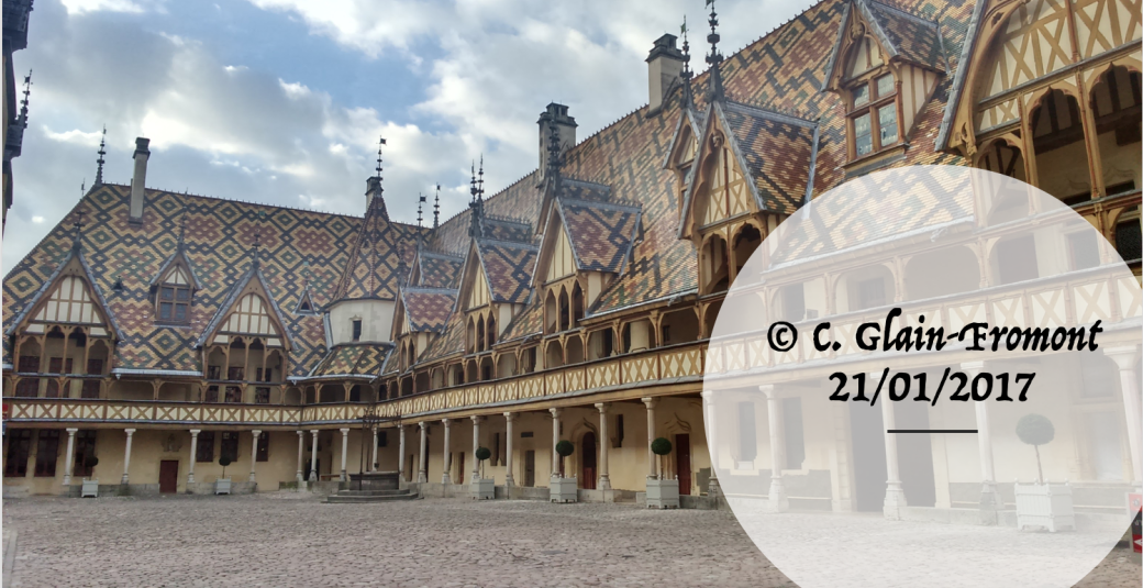 Beaune et le grand Hospital du chancelier - Beaune and Hospices de Beaune private discovery