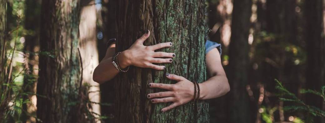 Bébés lecteurs - Des câlins