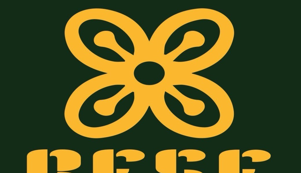 Bese Saka Afrovegan fest