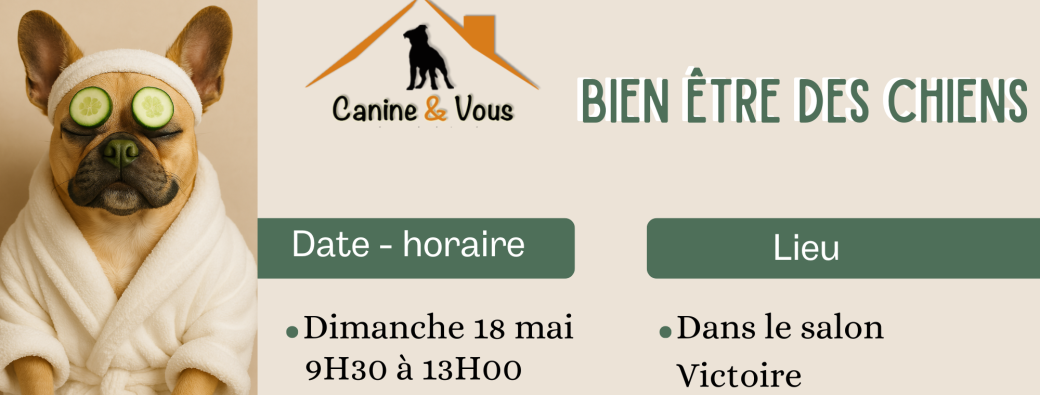 Bien être des chiens (massage)
