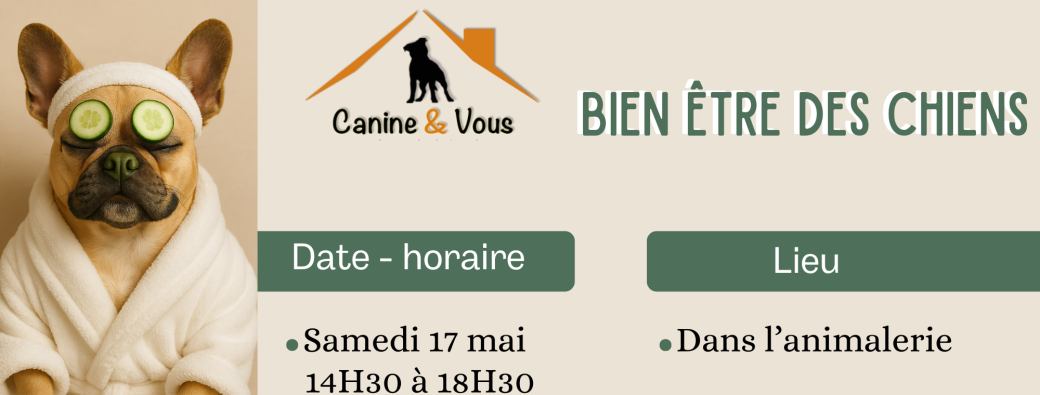 Bien être des chiens (nutrition)