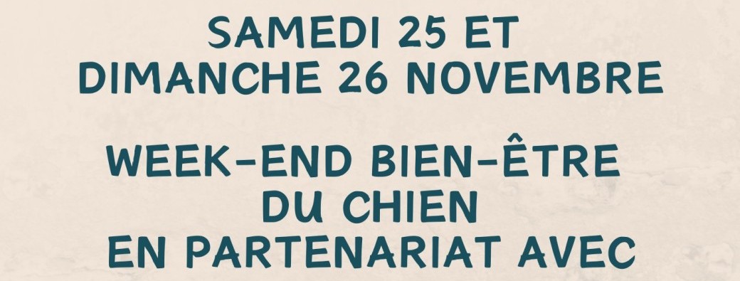 Bien être du chien ( conseils en éducation et analyse comportementale) 