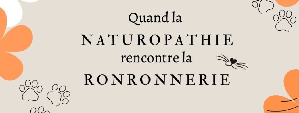 Bien vivre ma pré-ménopause avec la naturopathie