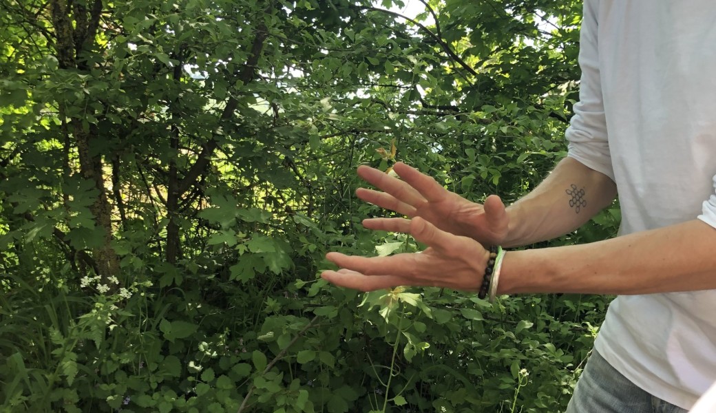 Bien vivre sa sensibilité Niv2