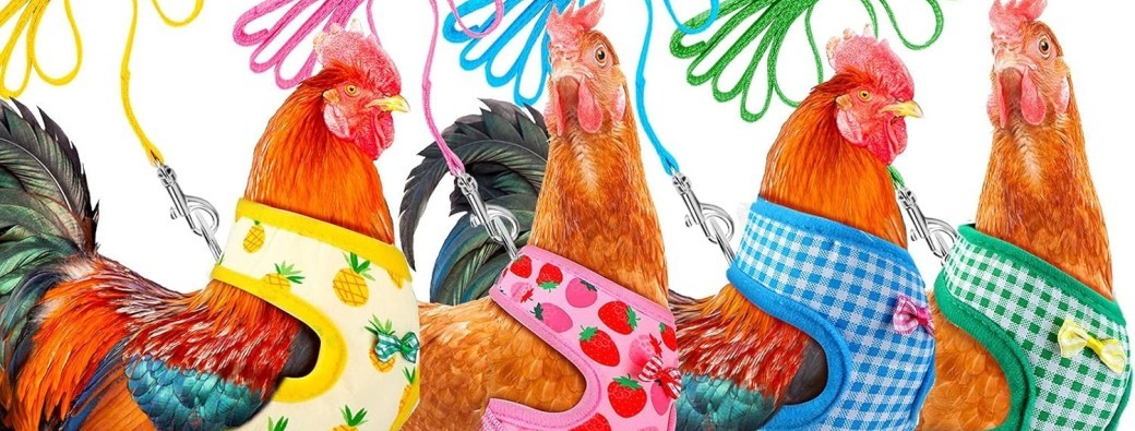 Bienvenue en absurdie