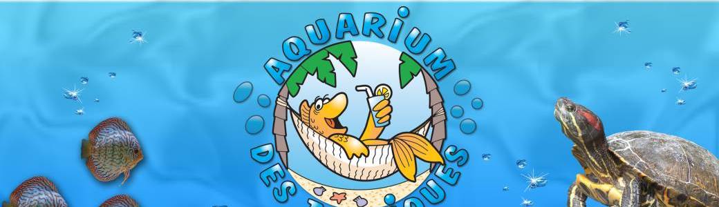 Visite Aquarium des Tropiques