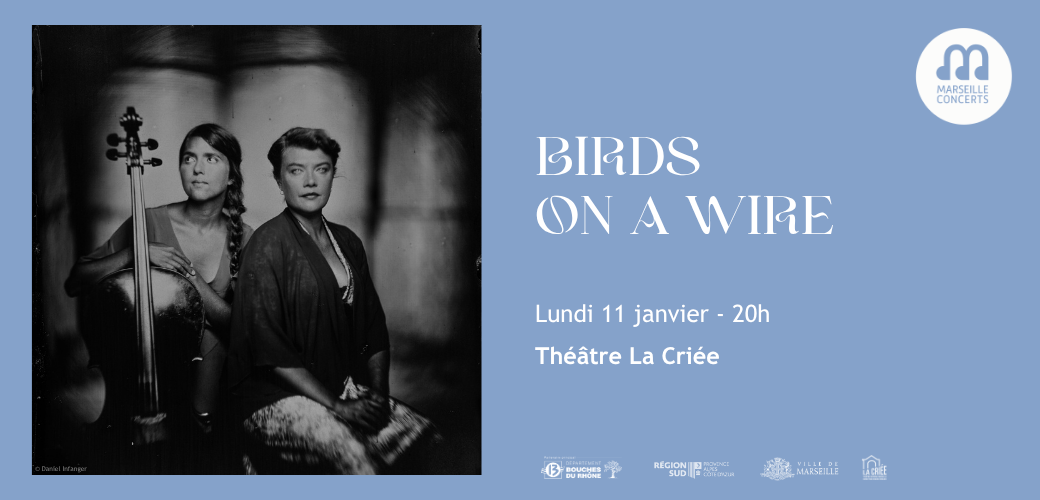 Birds on a Wire