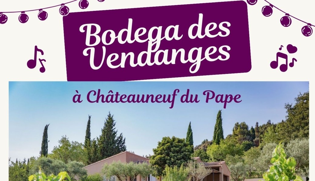 Bodega des Vendanges au Clos Sainte Marie