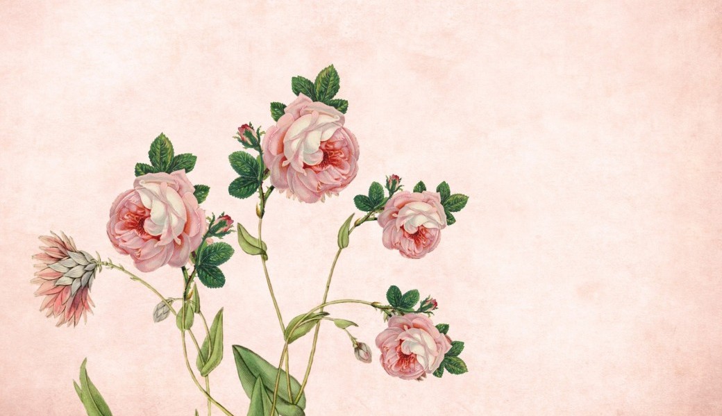 BON CADEAU A FLEURS DE SENS