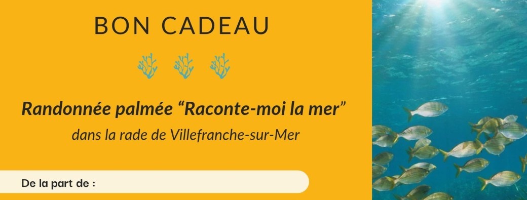 Bon cadeau