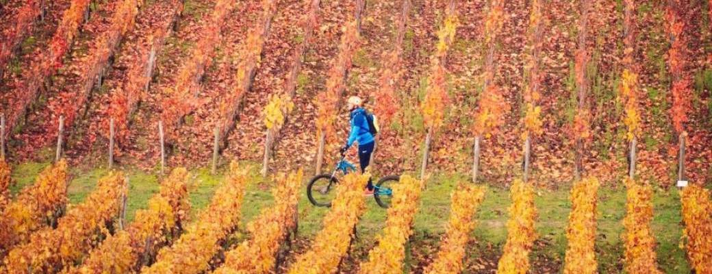 Bon Cadeau balade en trottinette électrique 