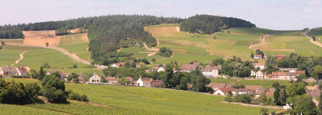 Bon Cadeau Dégustation / Château de Chamirey