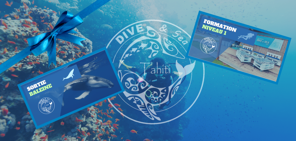 Bon cadeau - Dive and Sea Tahiti