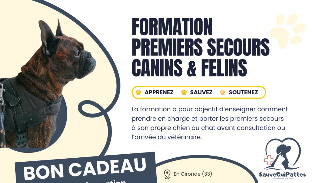 Bon cadeau Formation Premiers Secours Canin Félin