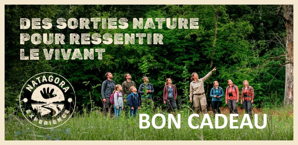 Bon Cadeau Natagora Experience pour une Activité Découverte