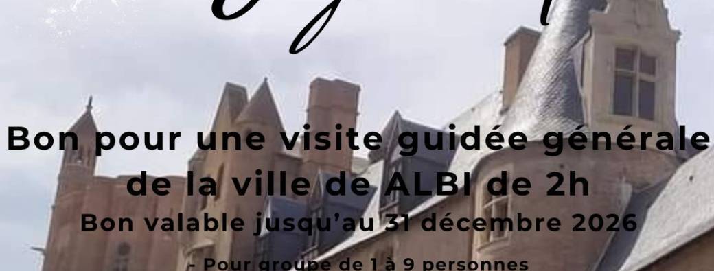 BON CADEAU NOEL - VISITE ALBI 2H