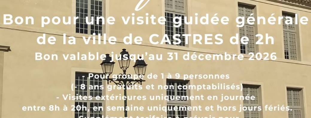 BON CADEAU NOEL - VISITE CASTRES 2H