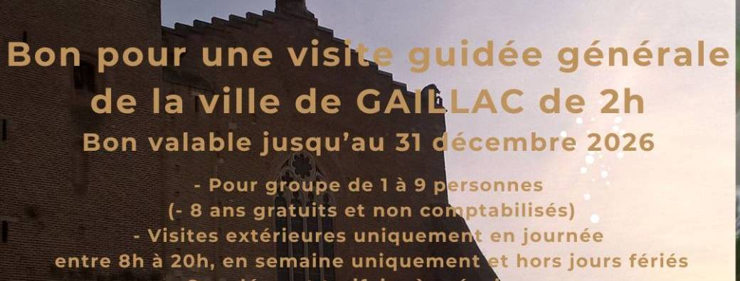 BON CADEAU NOEL - VISITE GAILLAC 2H