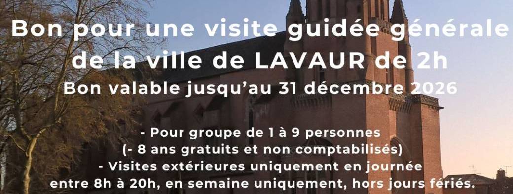 BON CADEAU NOEL - VISITE LAVAUR 2H