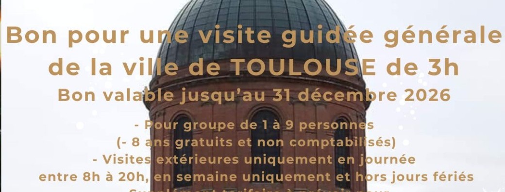 BON CADEAU NOEL - VISITE TOULOUSE 3H