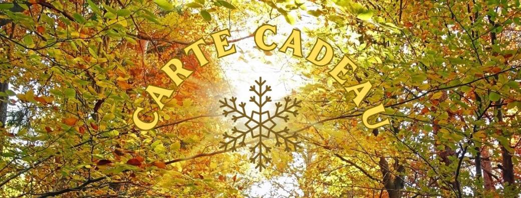 Bon Cadeau pour une Marche du Temps Profond