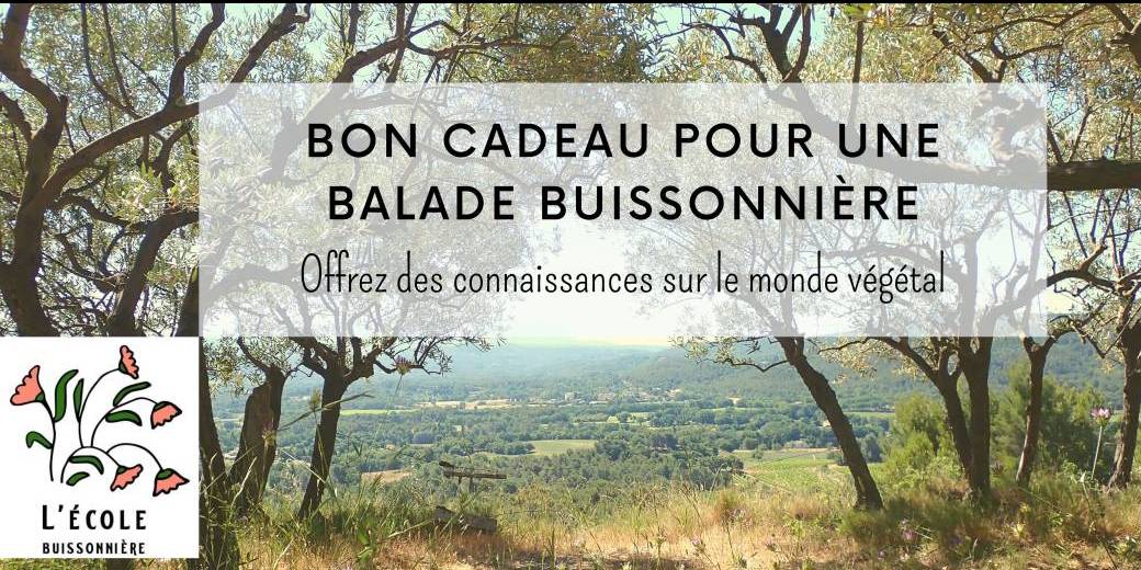 Bon cadeau pour une balade buissonnière