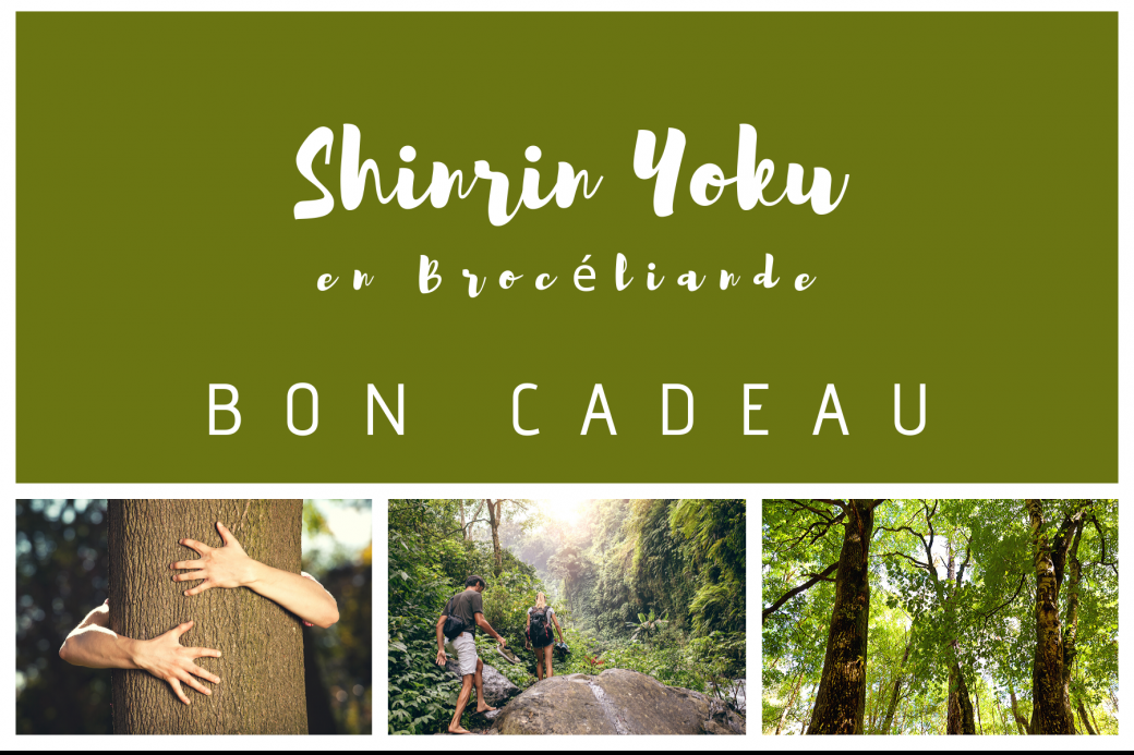 BON CADEAU NOEL 2019