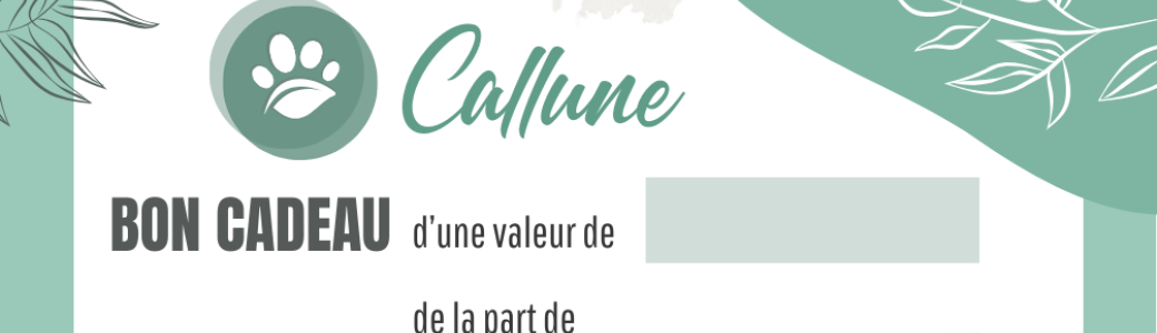 Bon cadeau