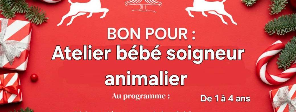 Bon cadeaux atelier bébé soigneur 