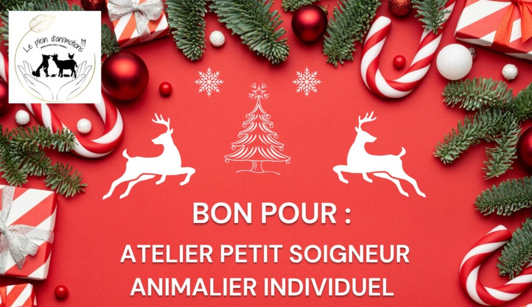 Bon cadeaux atelier individuel 