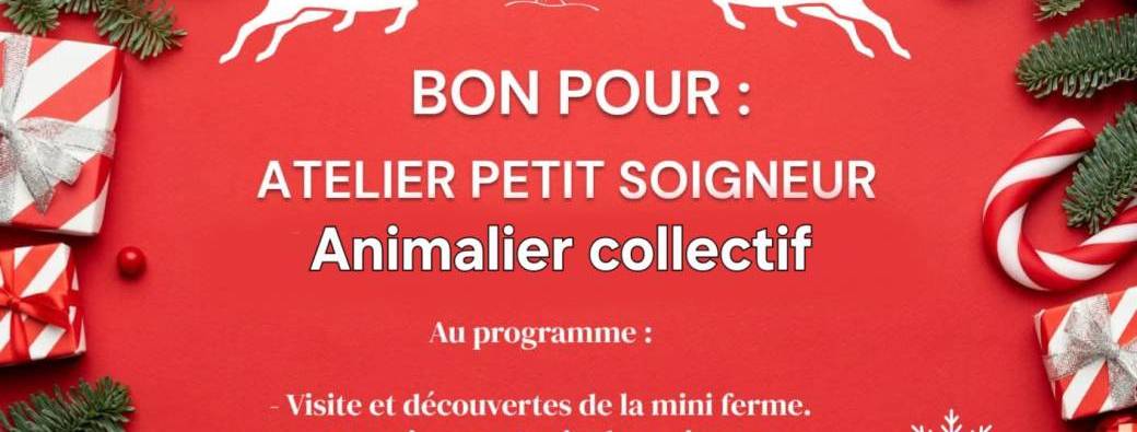 Bon cadeaux atelier Collectif- Sans accompagnant 