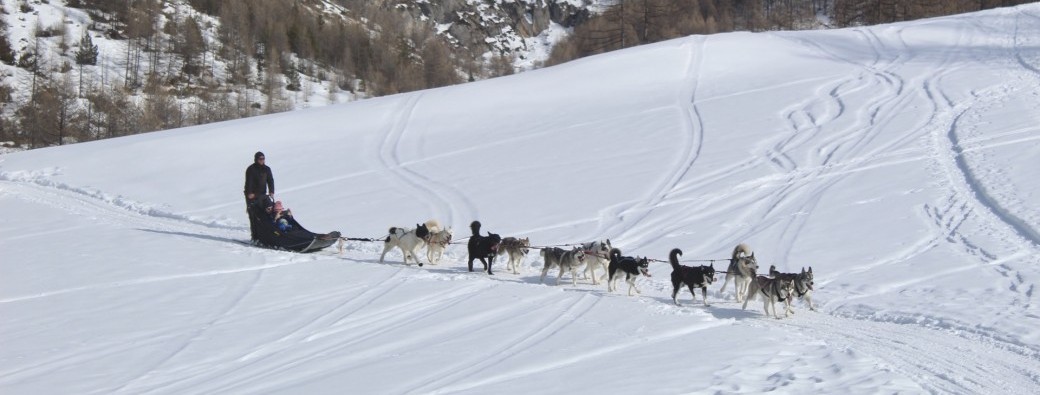 Bon Kdo Chiens de traîneau Ubaye 2025/2026 - Baptême pour 2 personnes