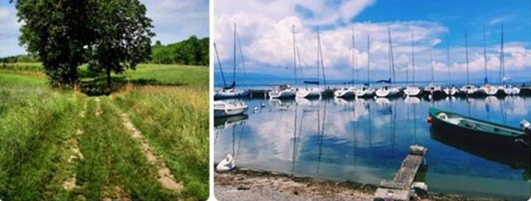 Bon pour une visite guidée du Chablais - durée 1 an