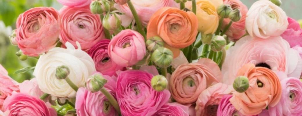 Joyeuse fête des mères