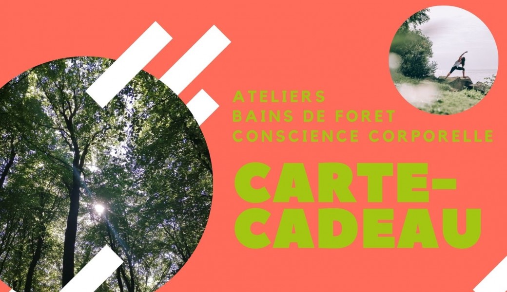 BONS CADEAUX Ateliers Sylvothérapie Conscience corporelle