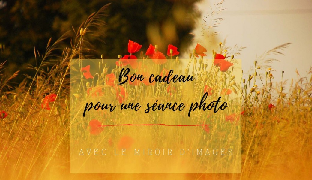 Bons cadeaux
