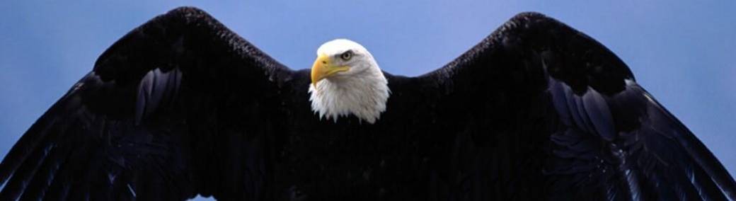 BOOTCAMP DES AIGLES:         s'entourer des meilleurs pour atteindre des sommets