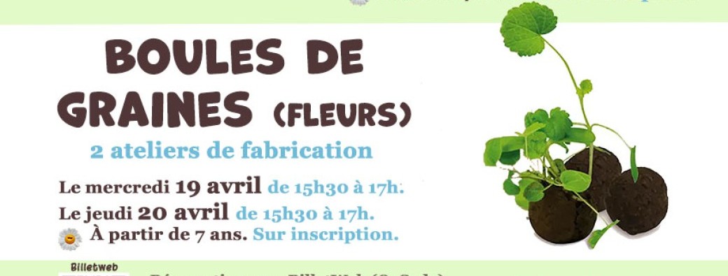 Boules de graines