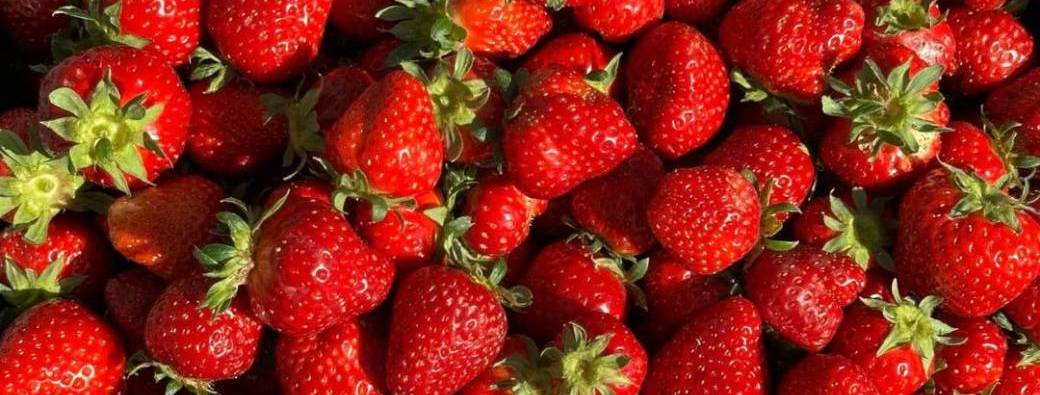 Brunch box fêtes des mères