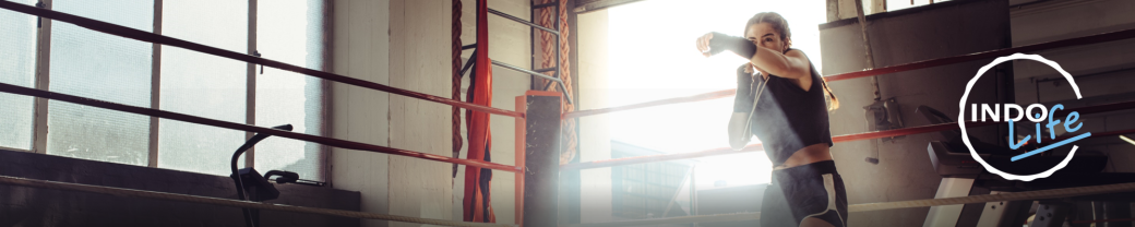 Boxe & Kick-Boxing Indolife - avril-août 2024